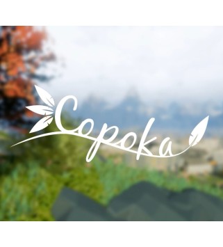 Copoka Steam Key EUROPE